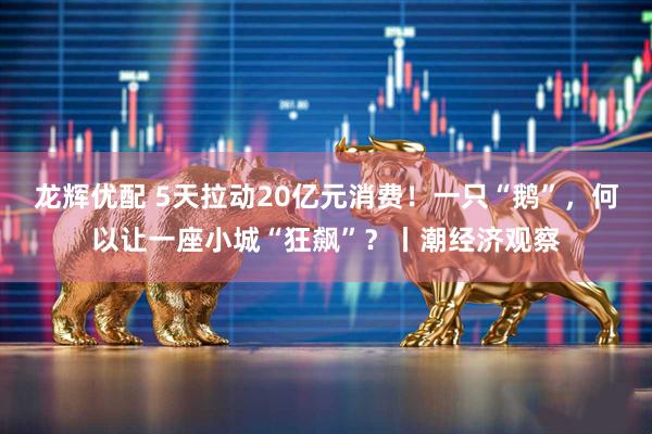龙辉优配 5天拉动20亿元消费！一只“鹅”，何以让一座小城“狂飙”？丨潮经济观察