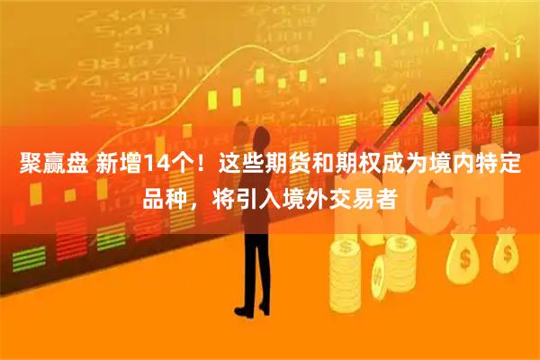 聚赢盘 新增14个！这些期货和期权成为境内特定品种，将引入境外交易者