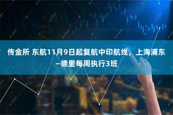 传金所 东航11月9日起复航中印航线,上海浦东—德里每周执行3班